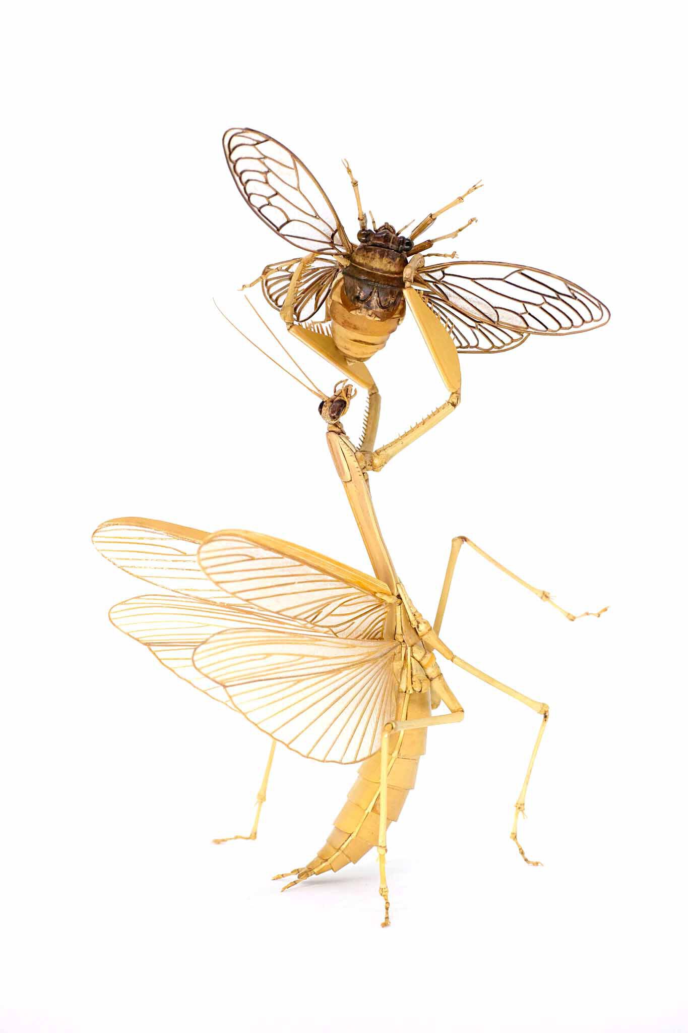 齋藤徳幸作品画像